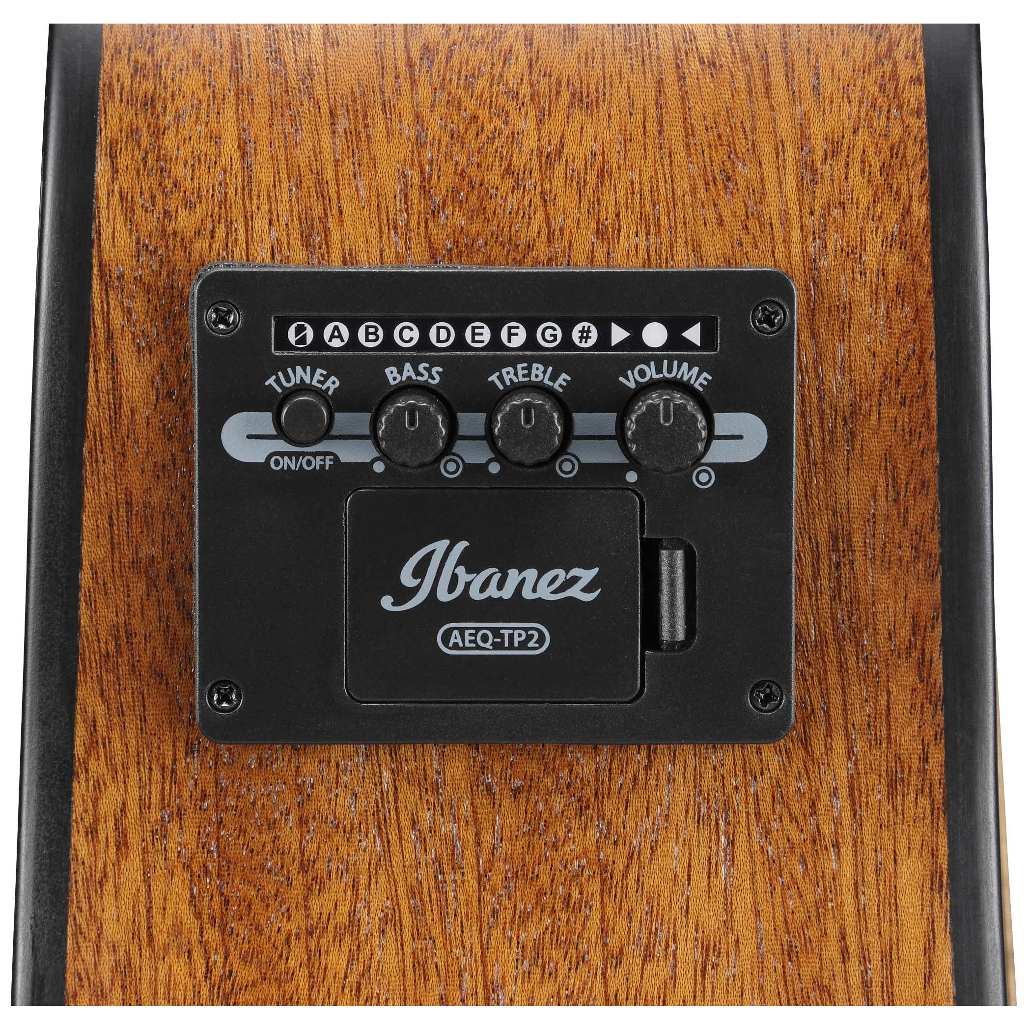 Ibanez AAM50CE-OPN 13