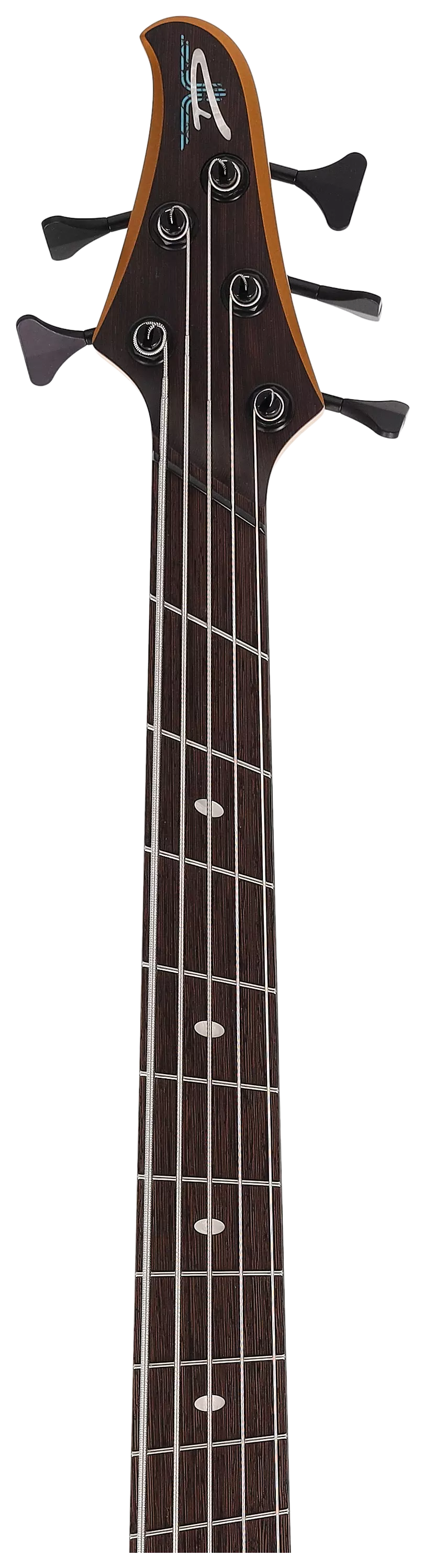 Dingwall D-Roc Custom 5 String Gold 11