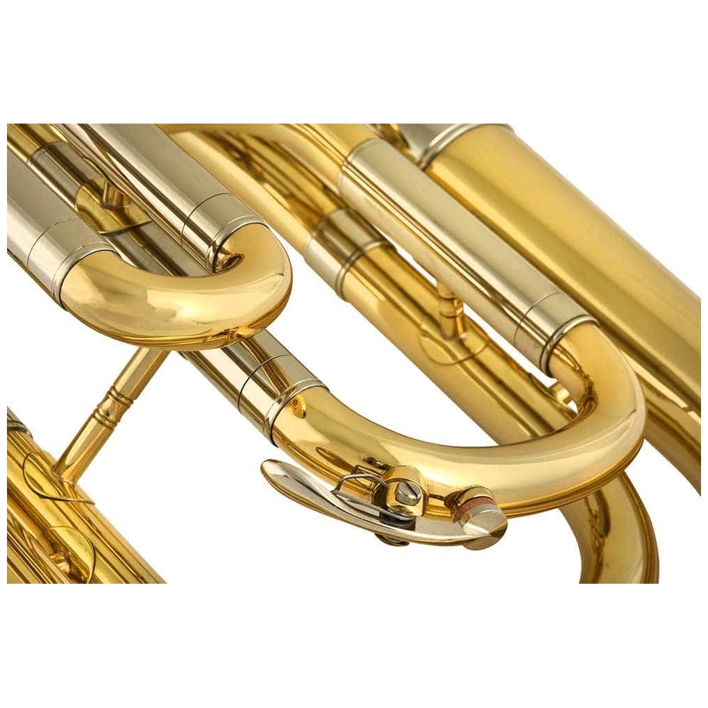 Chicago Winds - Chicago Winds CC-BH4100L Baritonhorn - 4