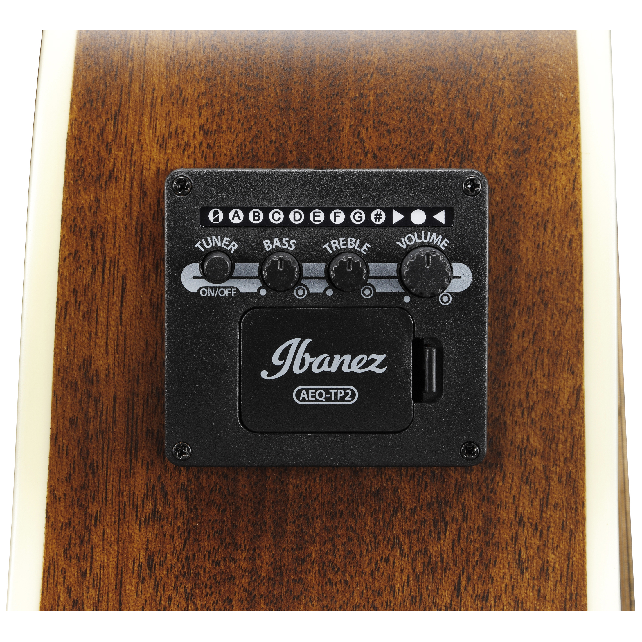 Ibanez AE100-DBF 12