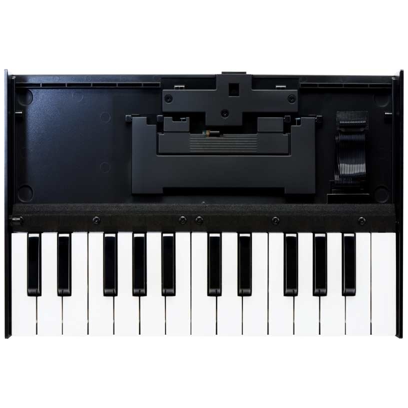 Roland - Roland Boutique K-25m - 1