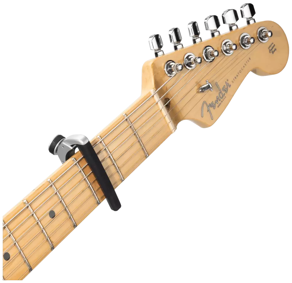 D’Addario PW-CP-19S - Pro Plus Capo Silver 6