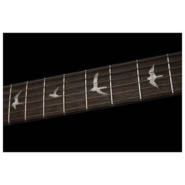 PRS SE Tremonti Custom CA 4