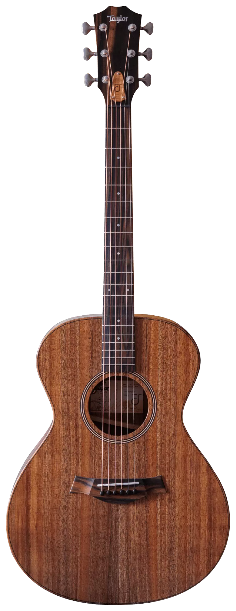 Taylor Jacob Collier Signature JCSM-6