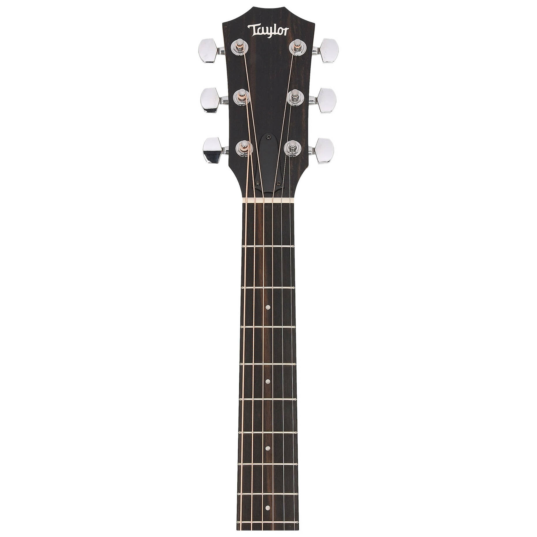 Taylor 110ce-S Sapele 5