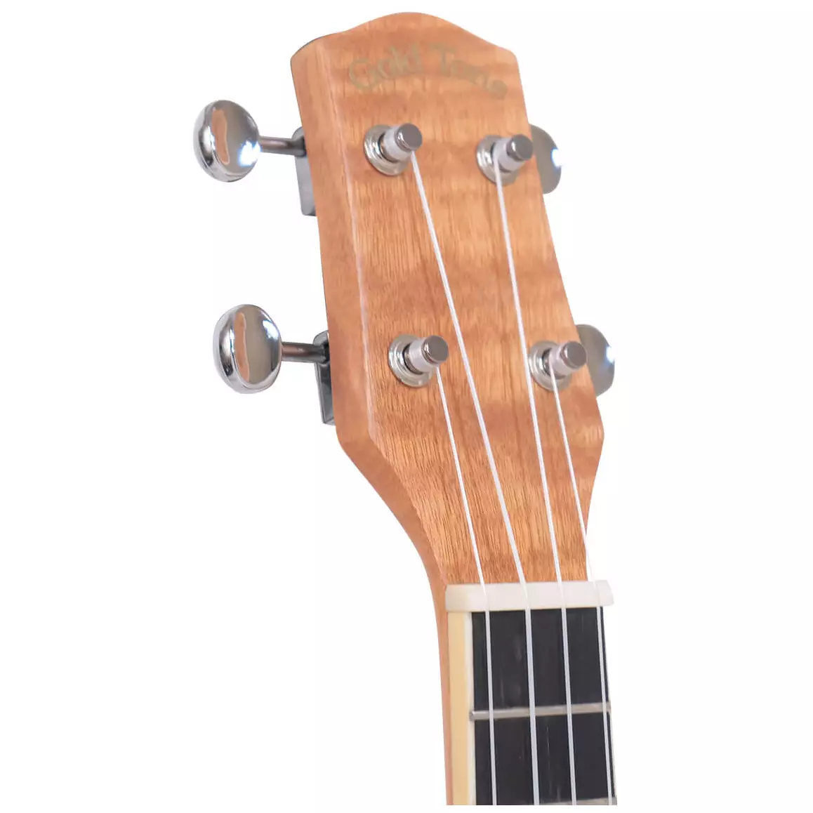 Gold Tone RESOUKE Maple C Concert 6