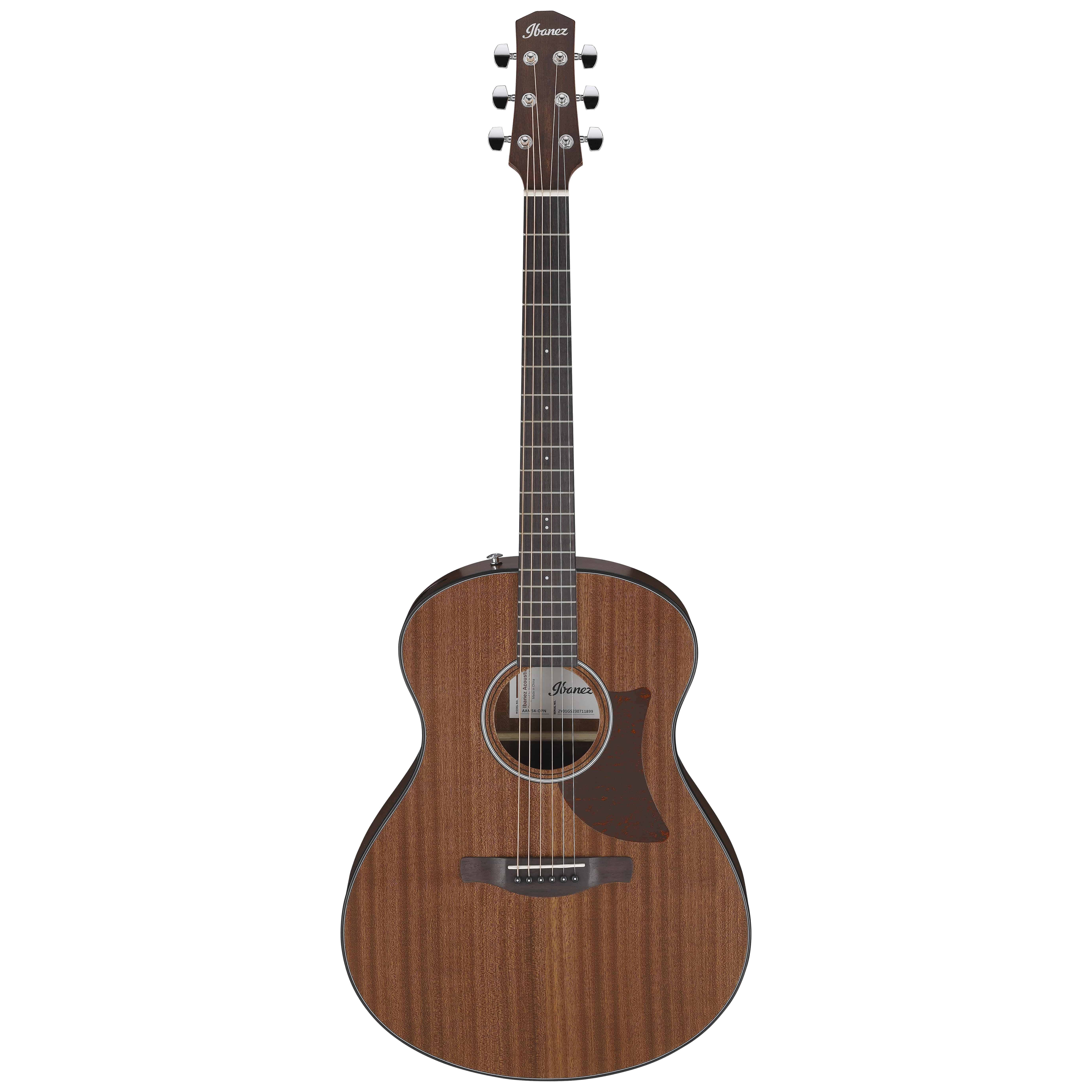 Ibanez AAM54-OPN 1