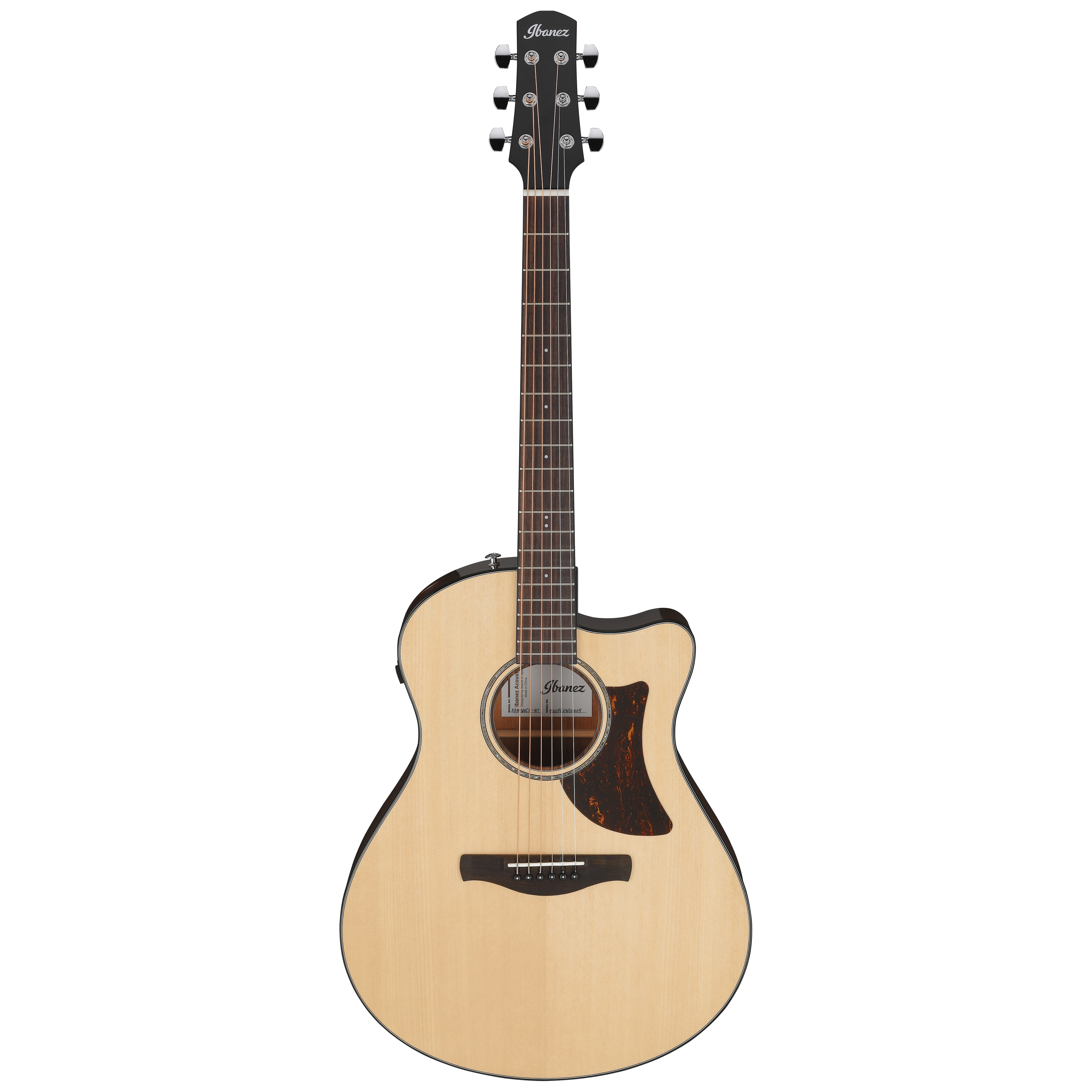 Ibanez AAM300CE-NT
