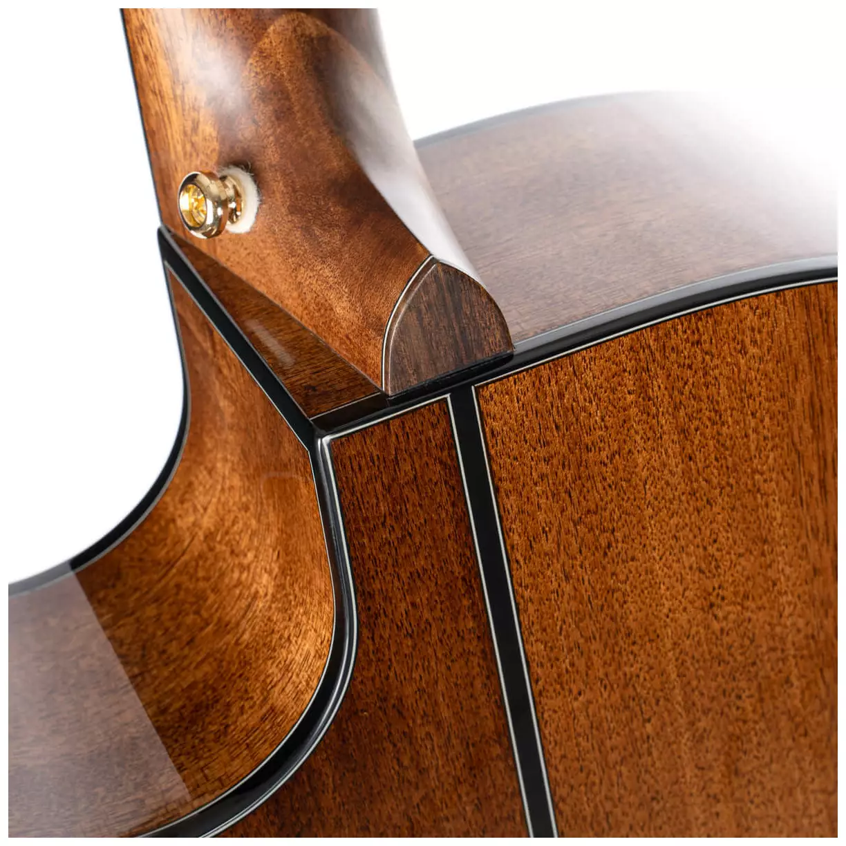Cort Gold A6 Natural Gloss 4