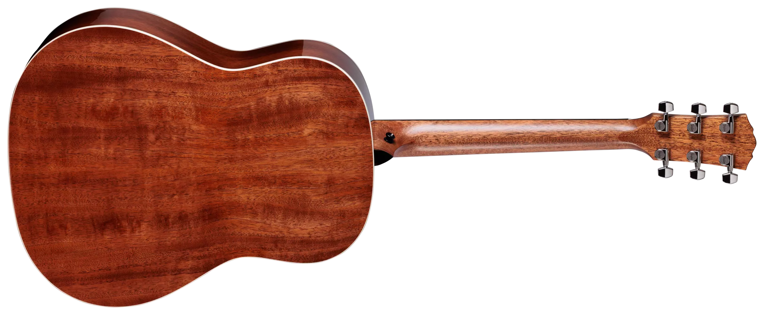 Taylor Gold Label 517e Natural 2