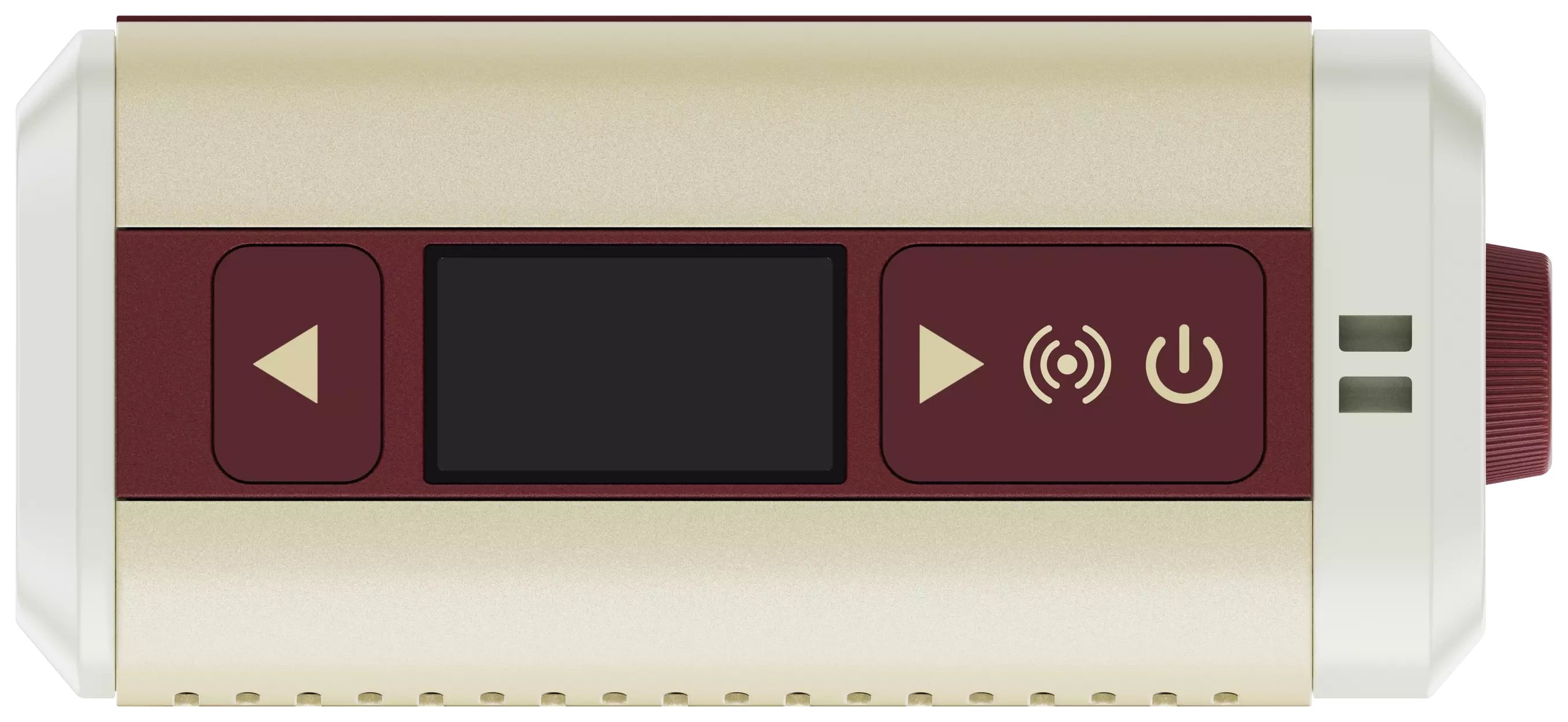 Hotone Pulze Mini Modeling Amp 1