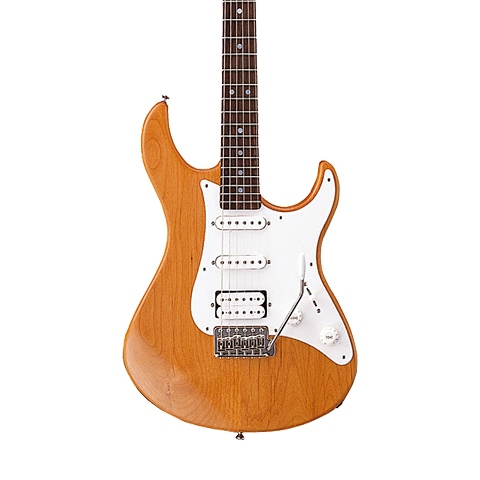 E-Gitarren für Anfänger