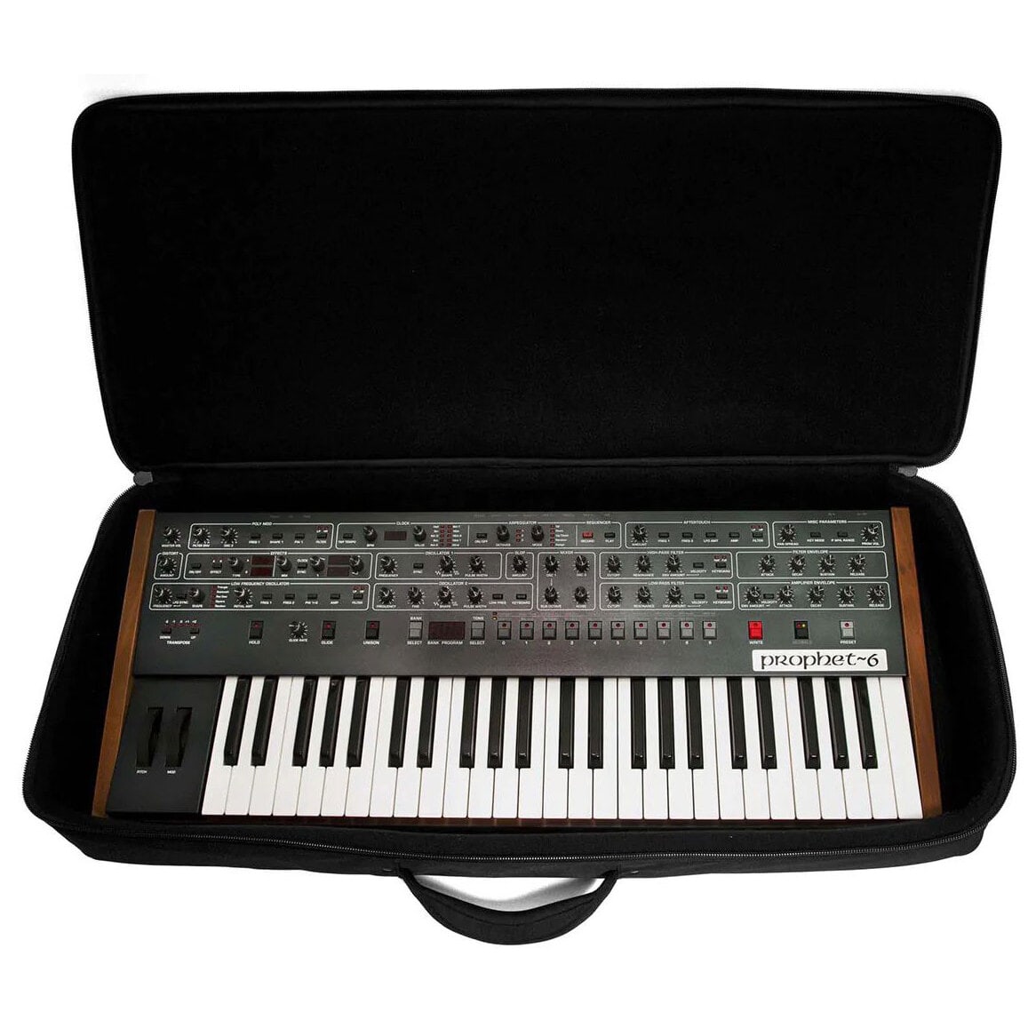 Analog Cases Sustain 49 1