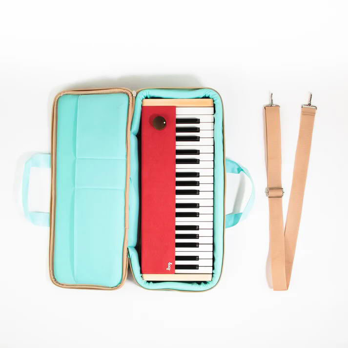  Piano Case 1