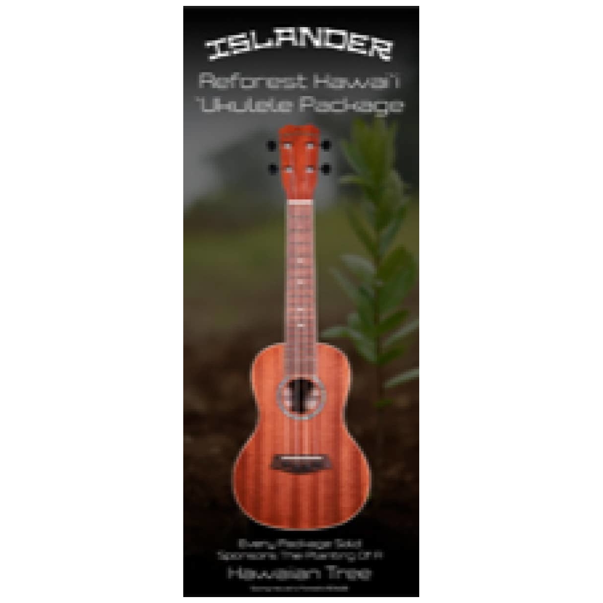 Islander - Islander PAT-BOX Concert Ukulele Reforest Package - 4