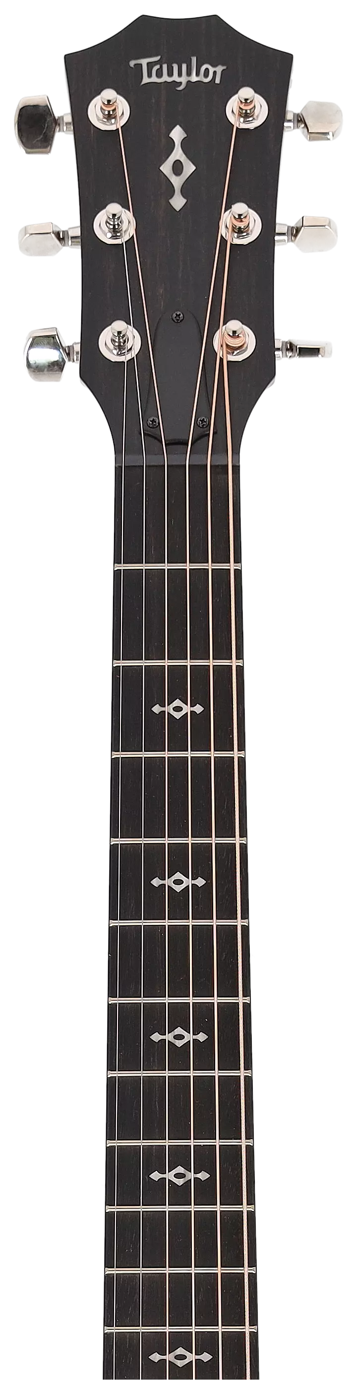 Taylor 314ce LH Next Generation 11