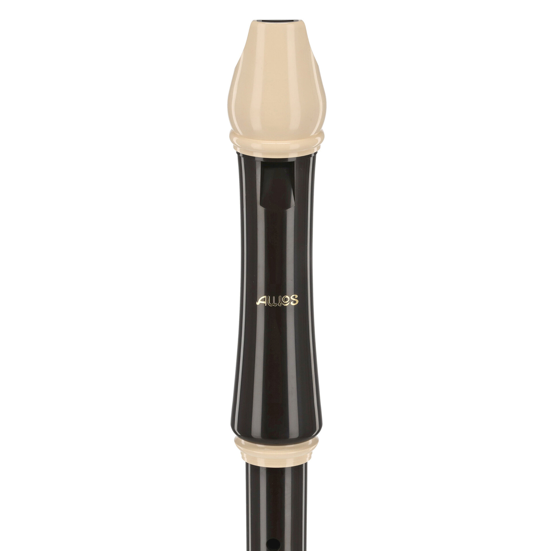  211A Robin Tenor Recorder 2
