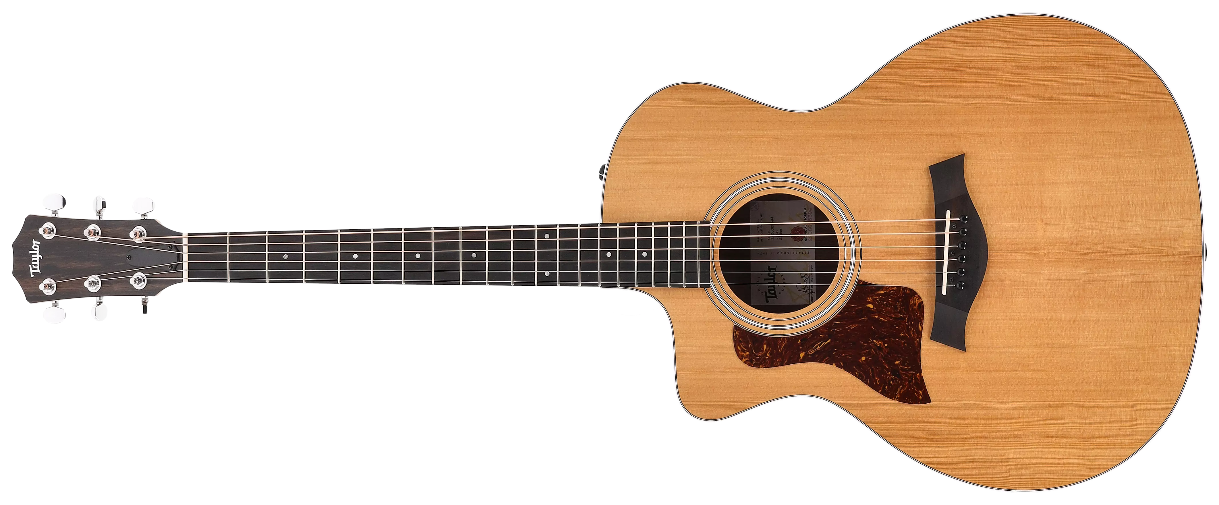 Taylor 214ce Lefthand 1