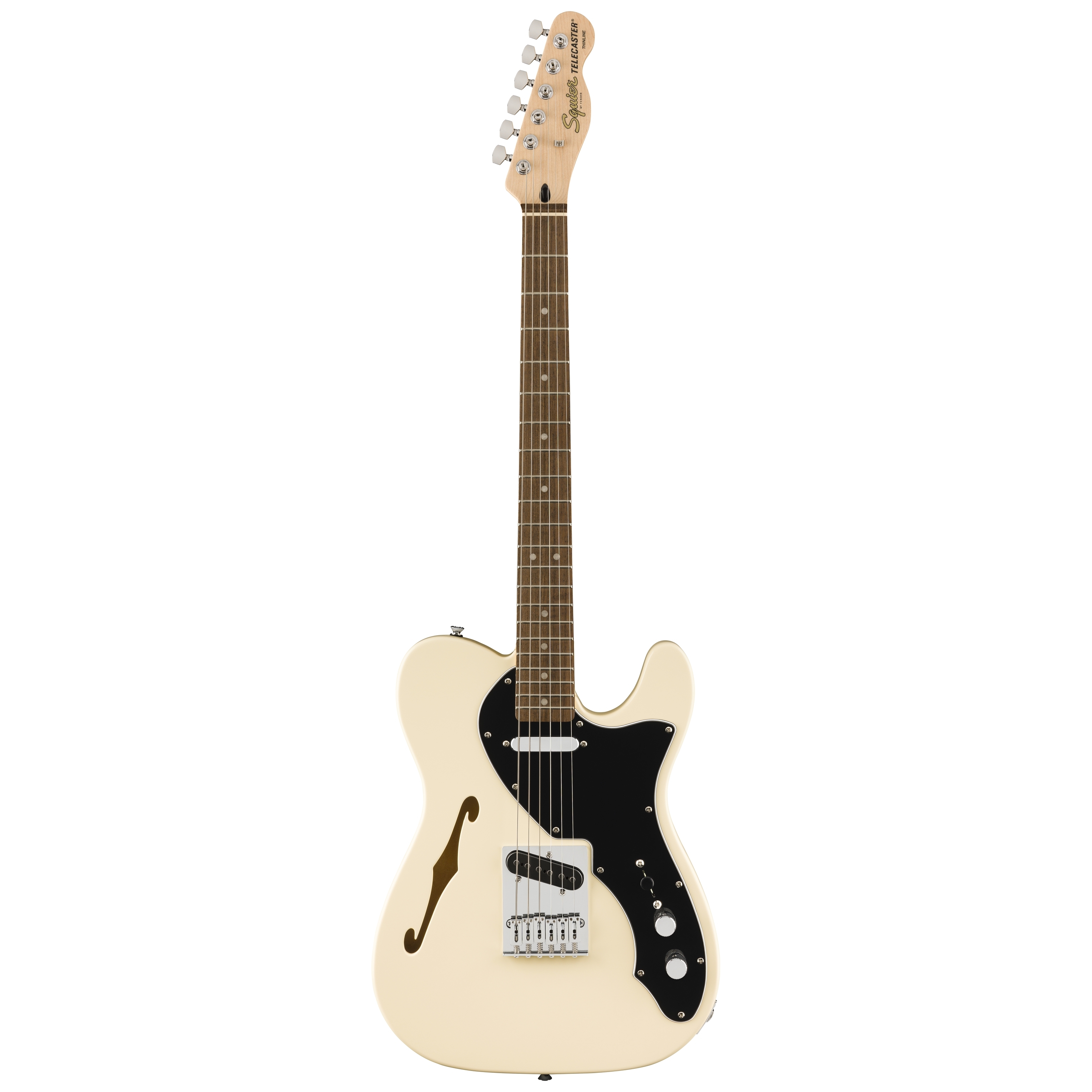 Squier by Fender Affinity Telecaster Thinline LRL PG OWT 4