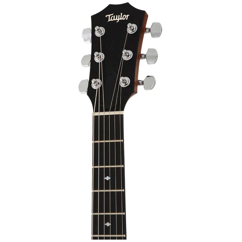 Taylor - Taylor T5z Classic - 3