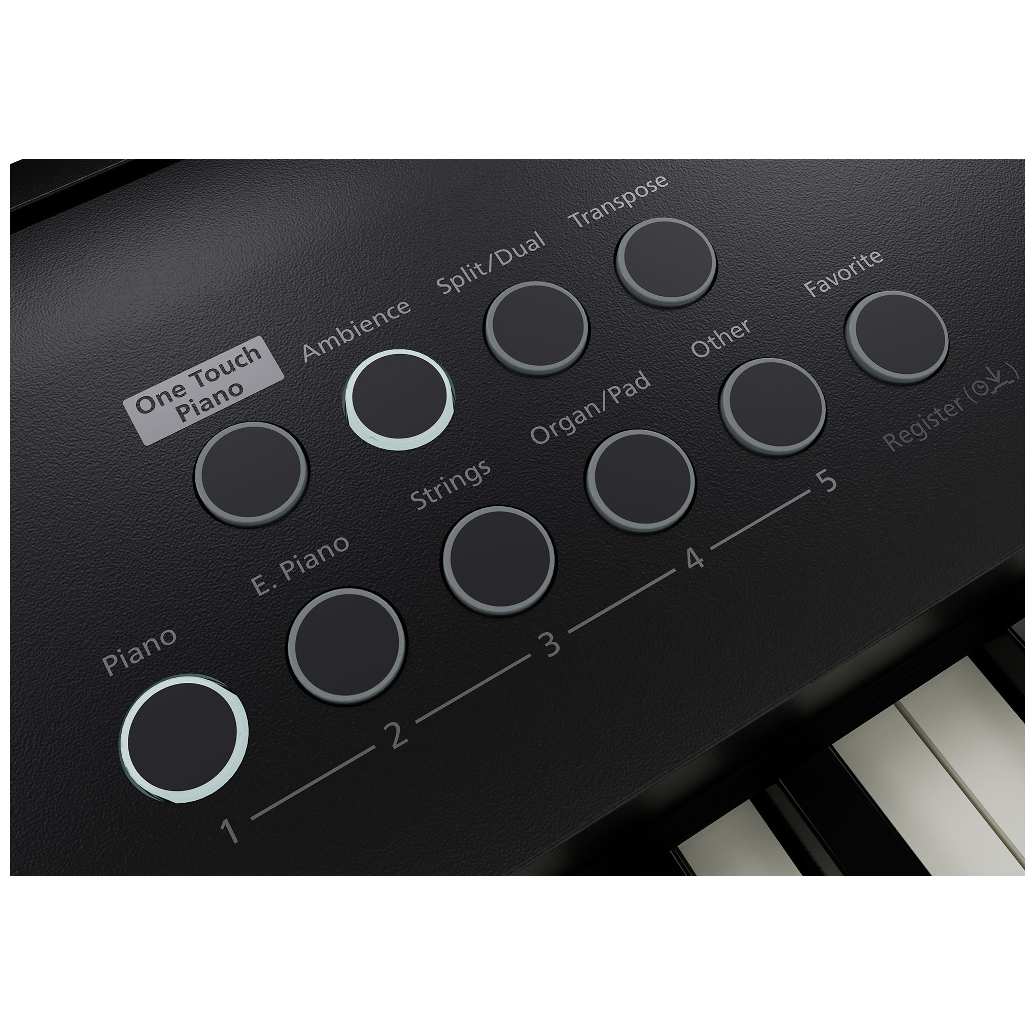Roland FP-E50 Modern Portable Piano 9