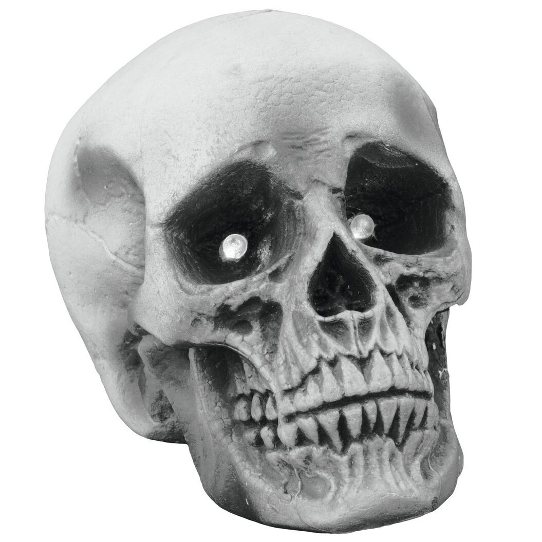  Skull LED 1