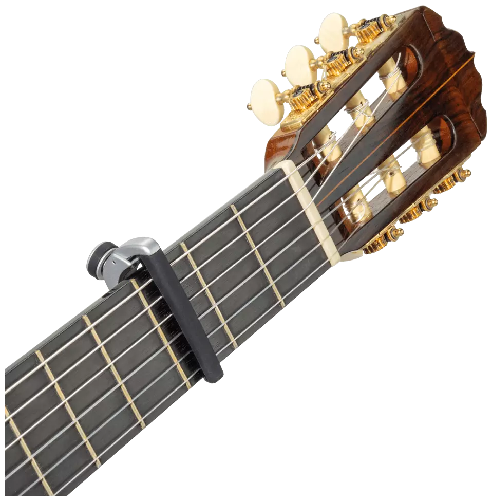D’Addario PW-CP-19S - Pro Plus Capo Silver 4