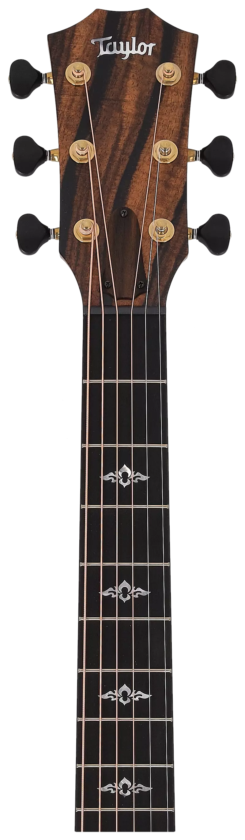 Taylor Custom GA C14ce Rosewood/Torrefied Sitka #6 5