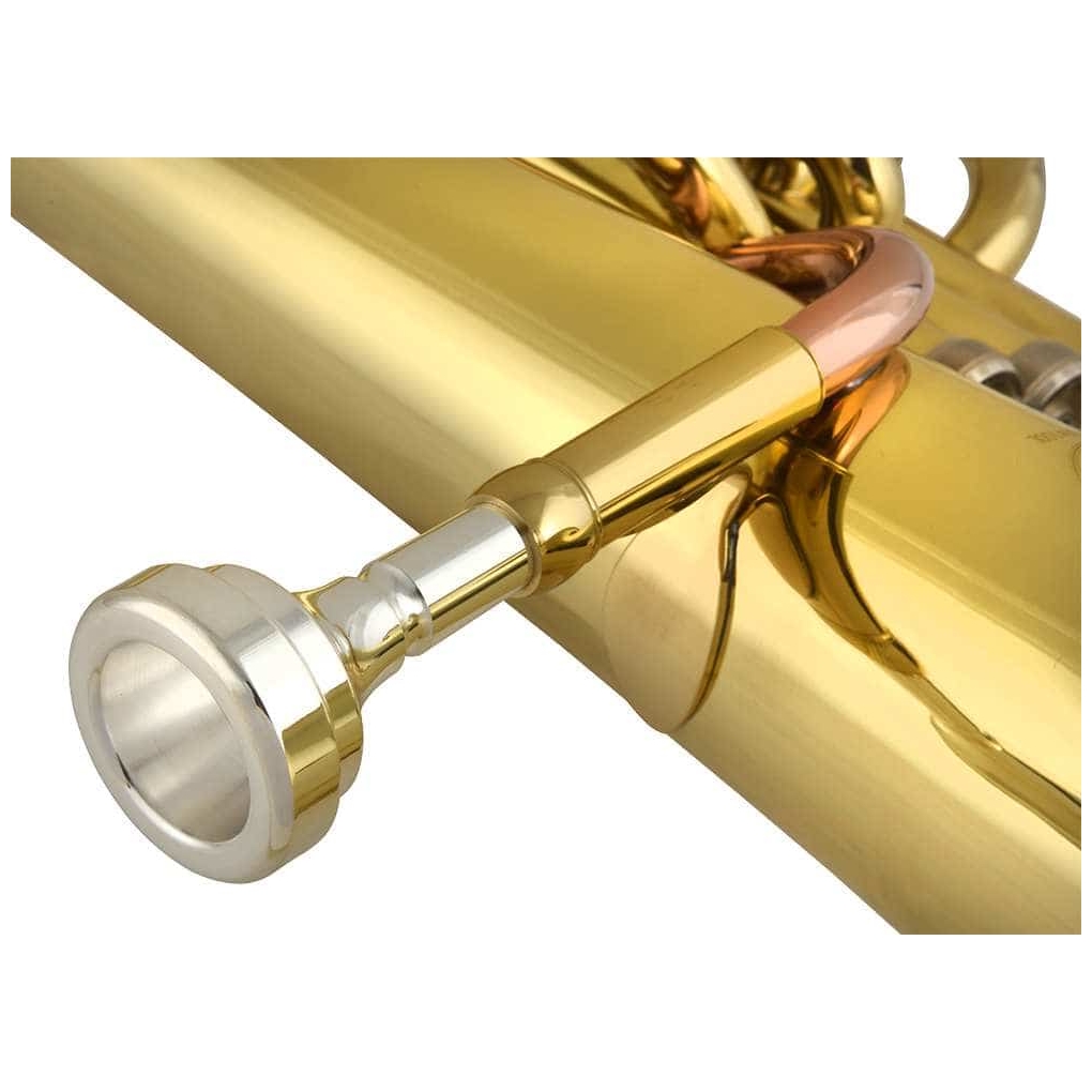 Chicago Winds - Chicago Winds CC-BH4100L Baritonhorn - 3