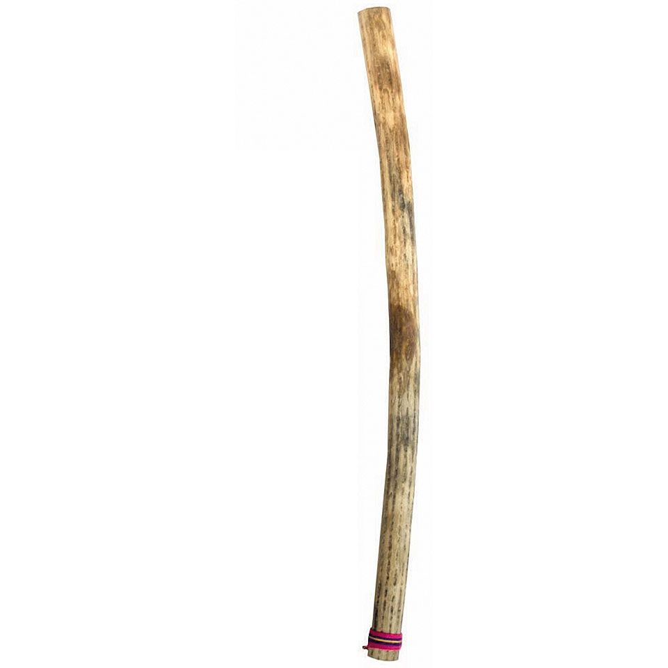  X-Large Kaktus Rainmaker Thin 100 cm
