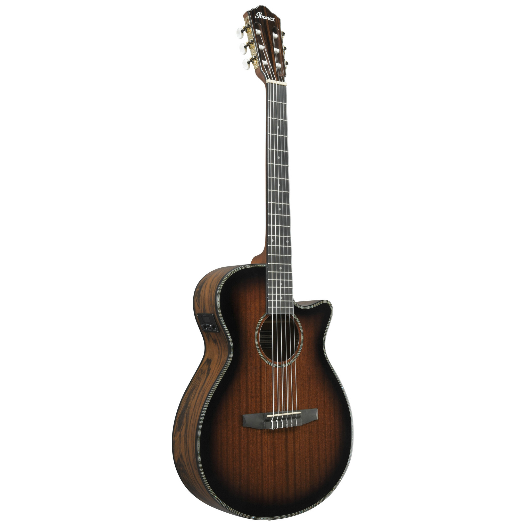 Ibanez AEG74N-MHS 6