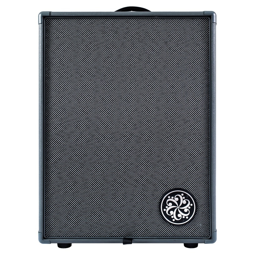 Darkglass Infinity 2x10 Combo