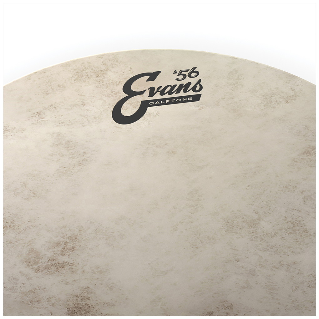 Evans TT16C7 - Calftone Tom Batter, 16 Zoll 1