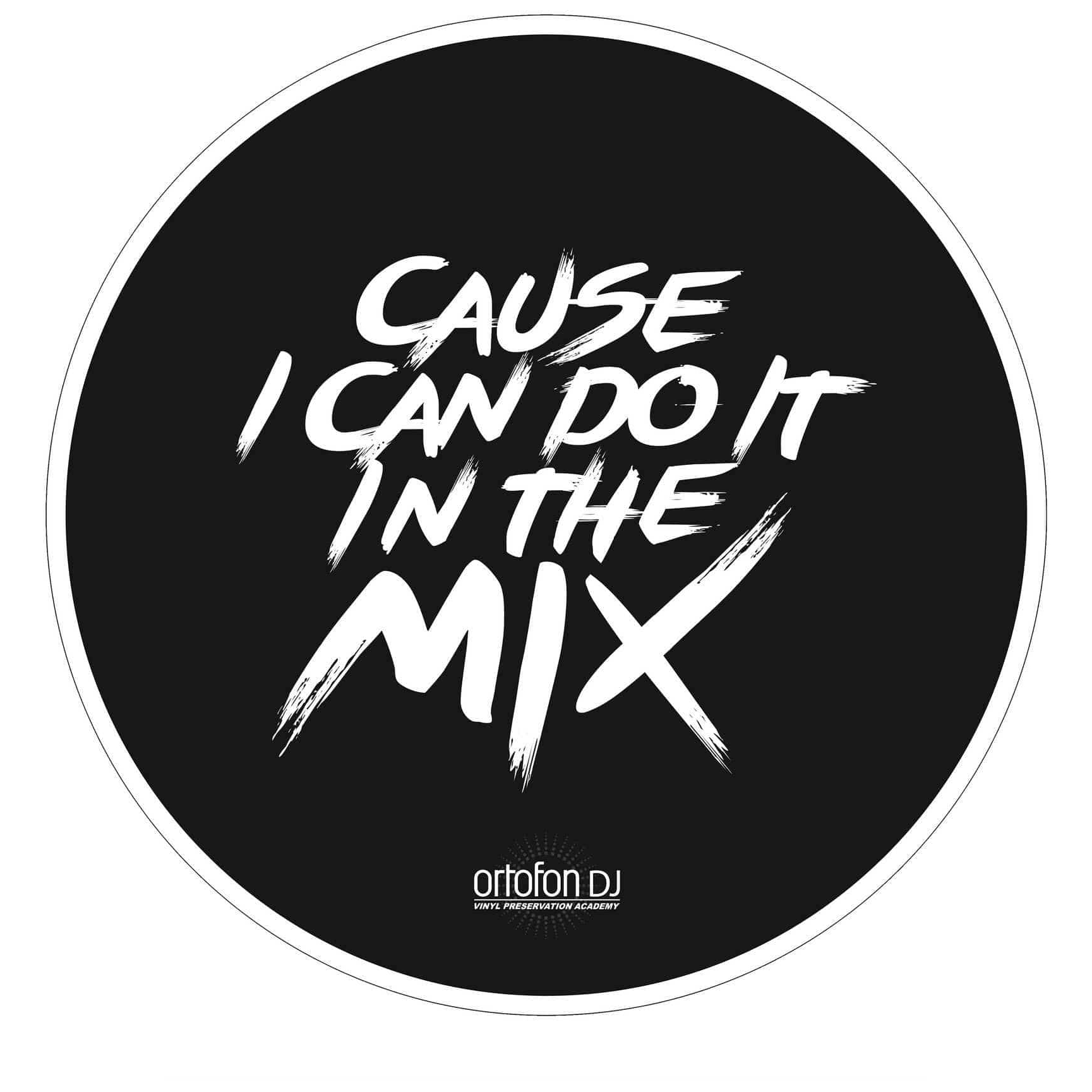 Ortofon - Ortofon Slipmat MIX