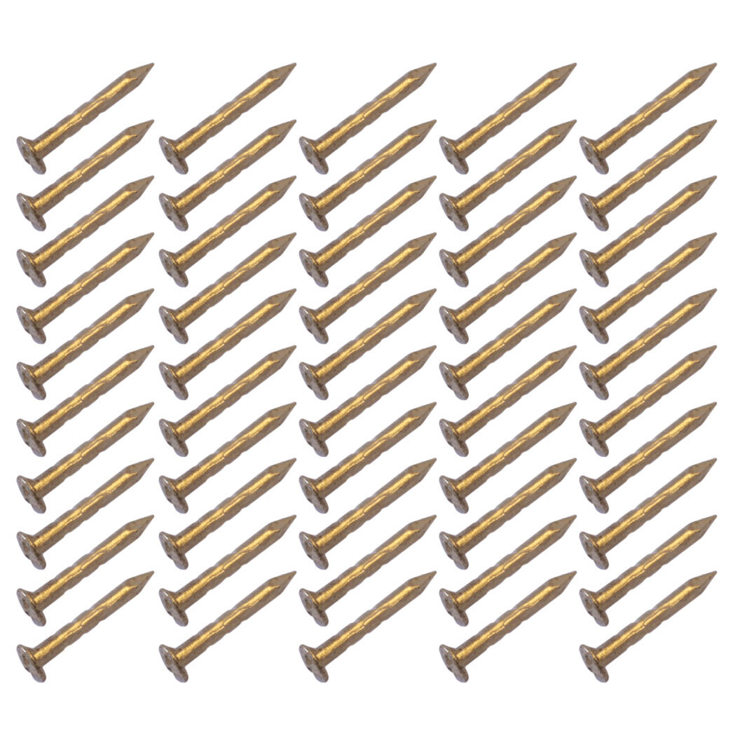 Hohner Nails for cover plate - universal