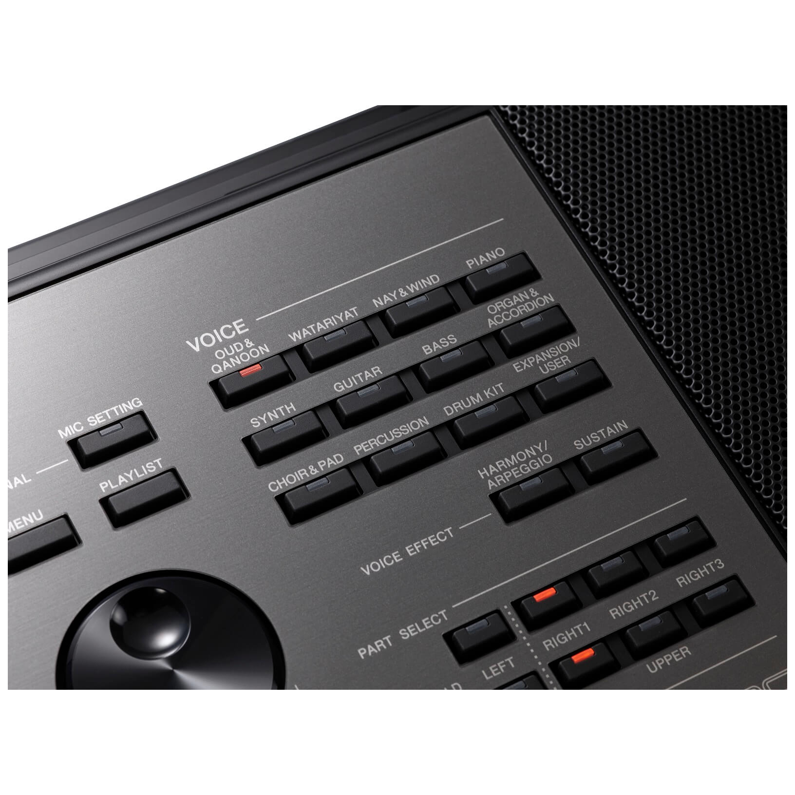 Yamaha - Yamaha PSR-A5000 - 6