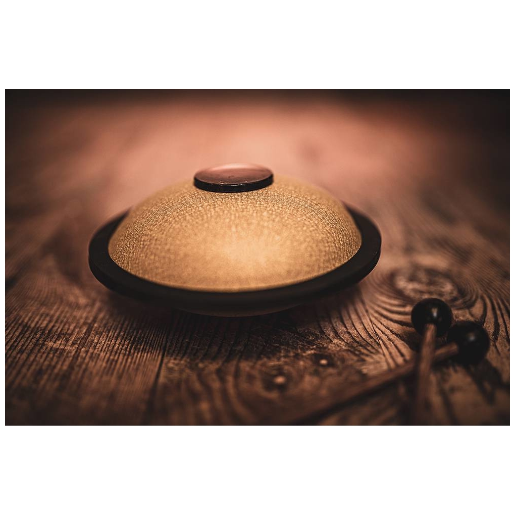 Meinl Sonic Energy - Meinl Sonic Energy MSTD3G - Mini Steel Tongue Drum, Gold, B Major - 8