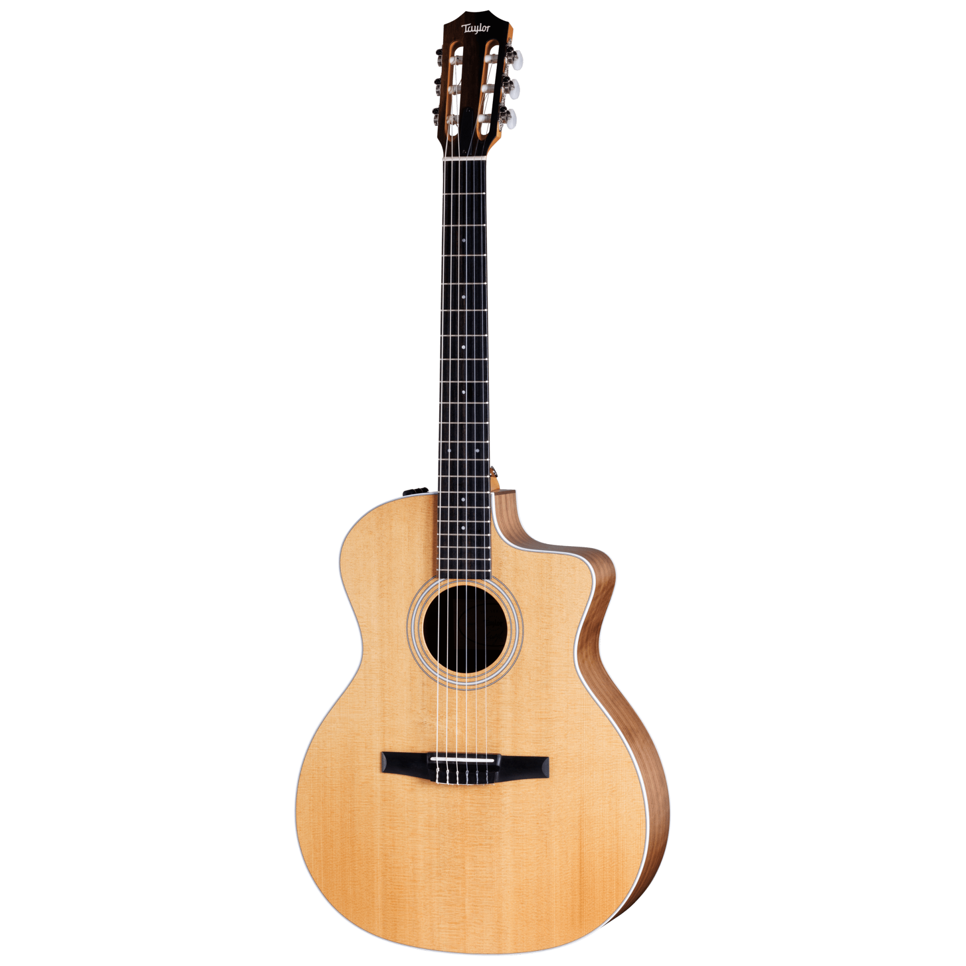Taylor 214ce-N 4