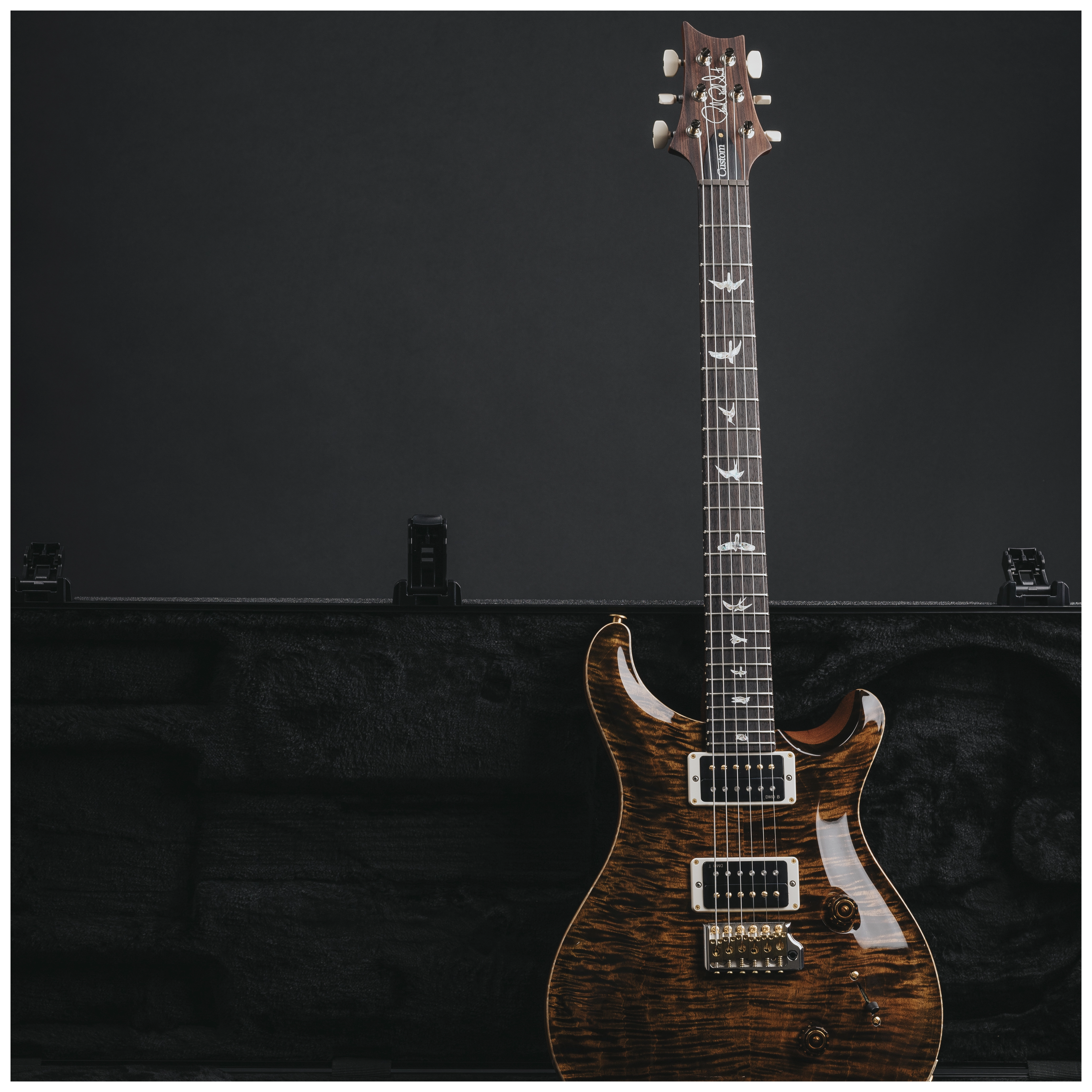 PRS Custom 24 Tiger Eye 10 Top #1 18
