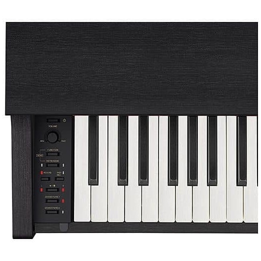 Casio - Casio Celviano AP-270 BK - 2