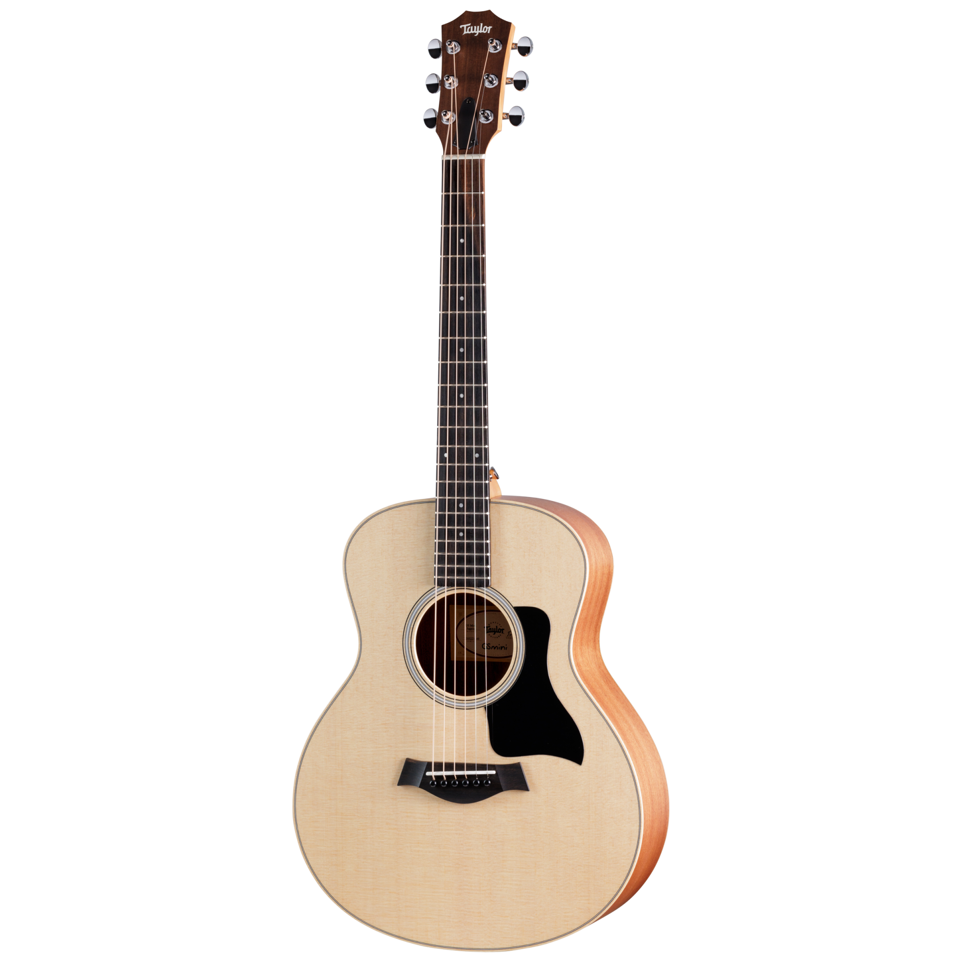 Taylor GS Mini Sapele 1