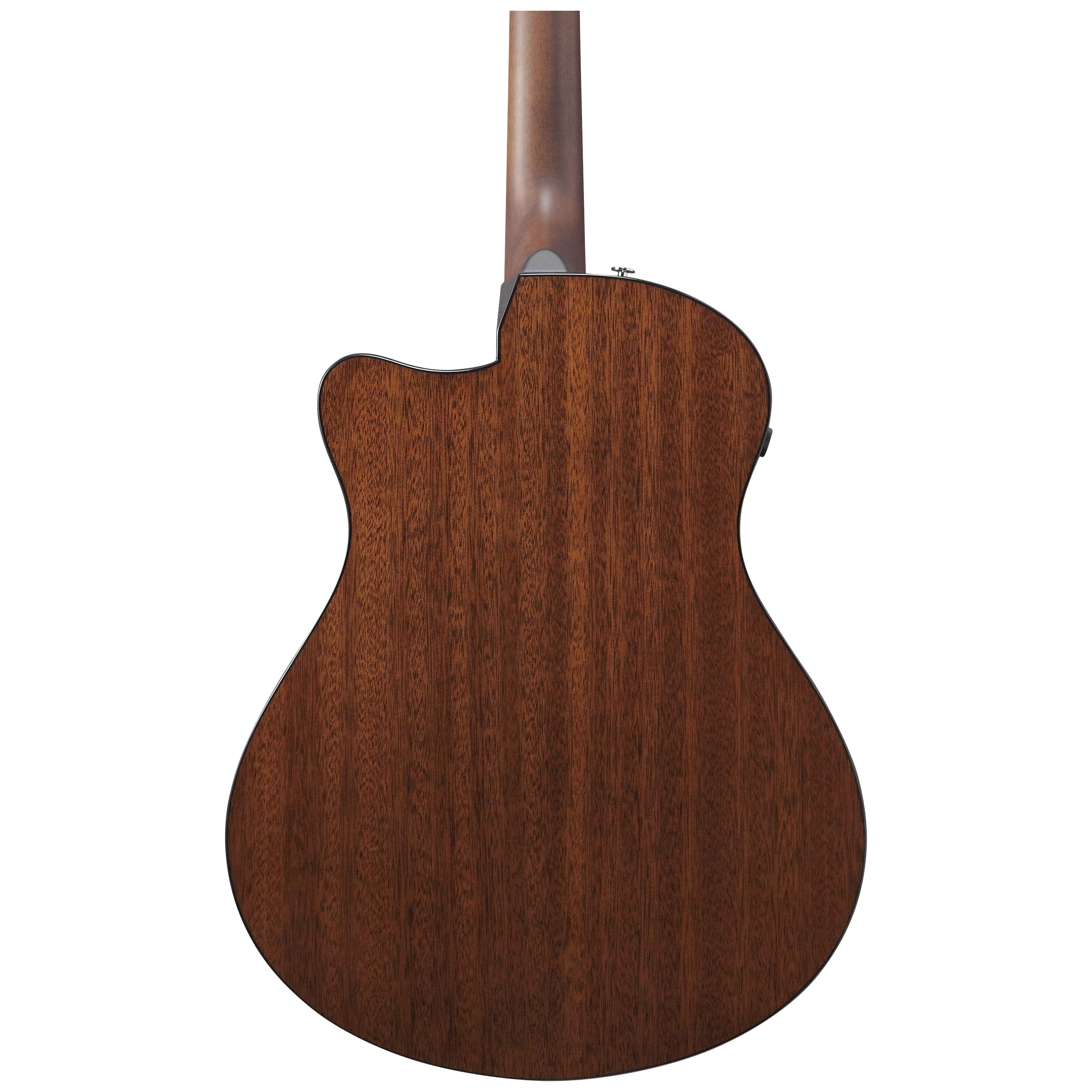 Ibanez AAM300CE-NT 6