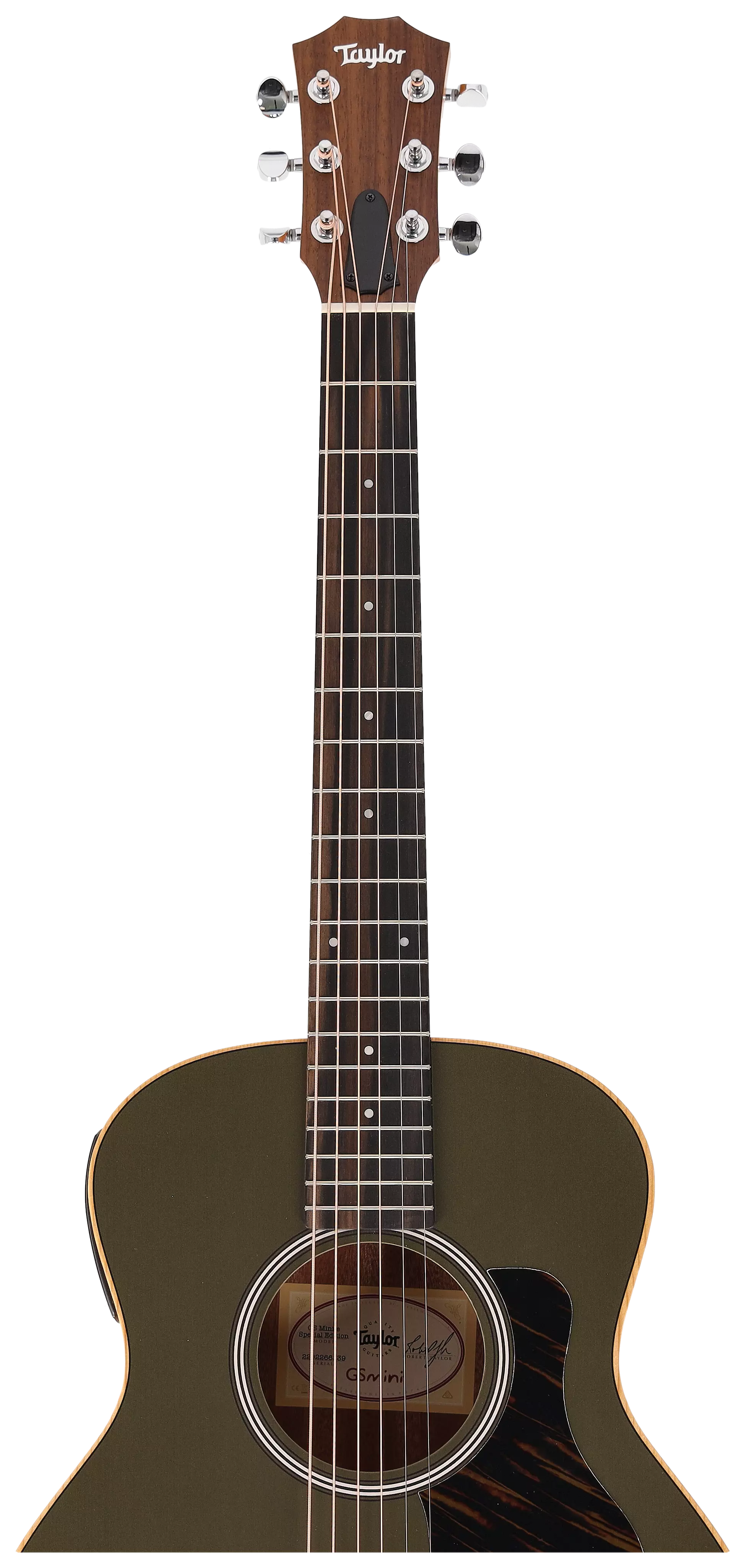 Taylor GS Mini-e LTD Olive 9
