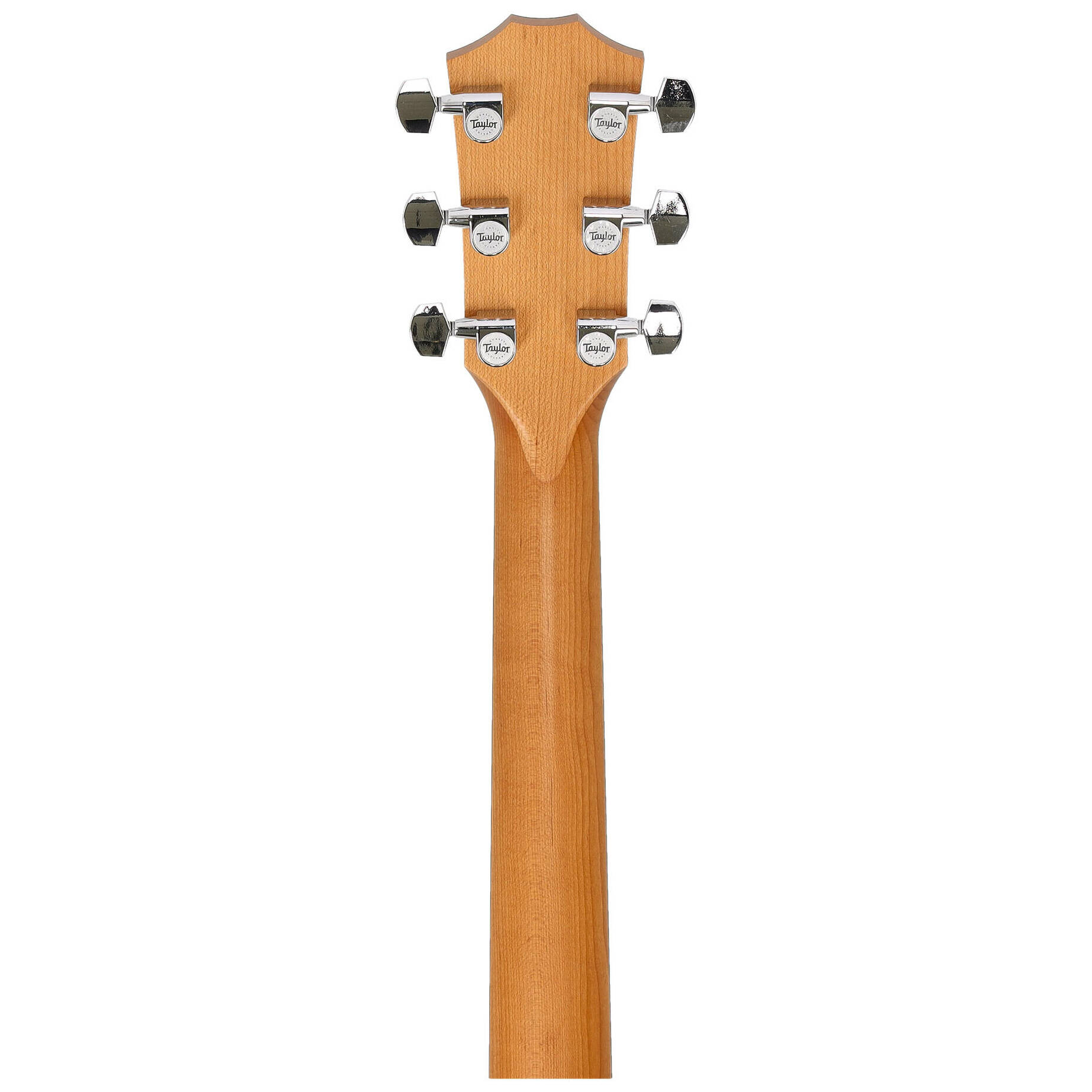 Taylor 110ce-S Sapele 6