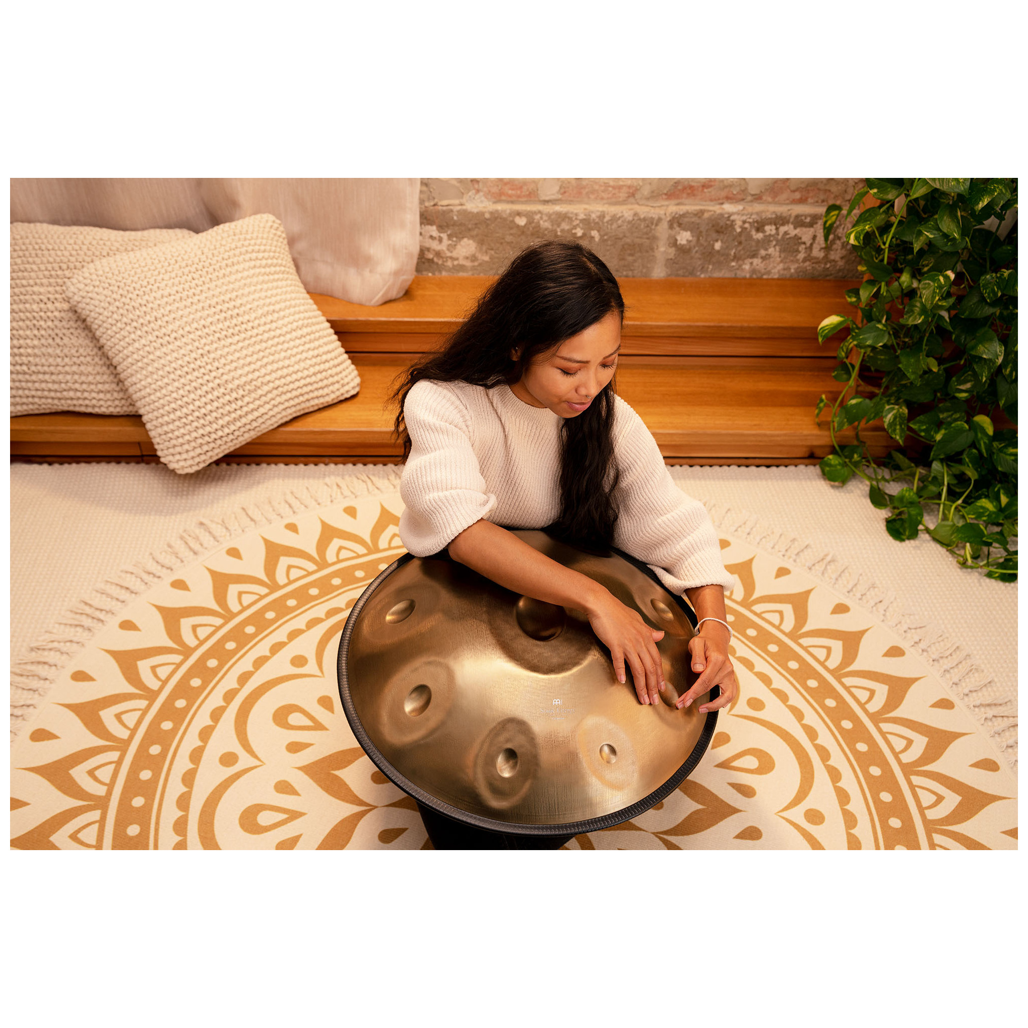 Meinl Sonic Energy HPSTL91 - Sensory Handpan, D Amara, D / A C D E F  G A C  10
