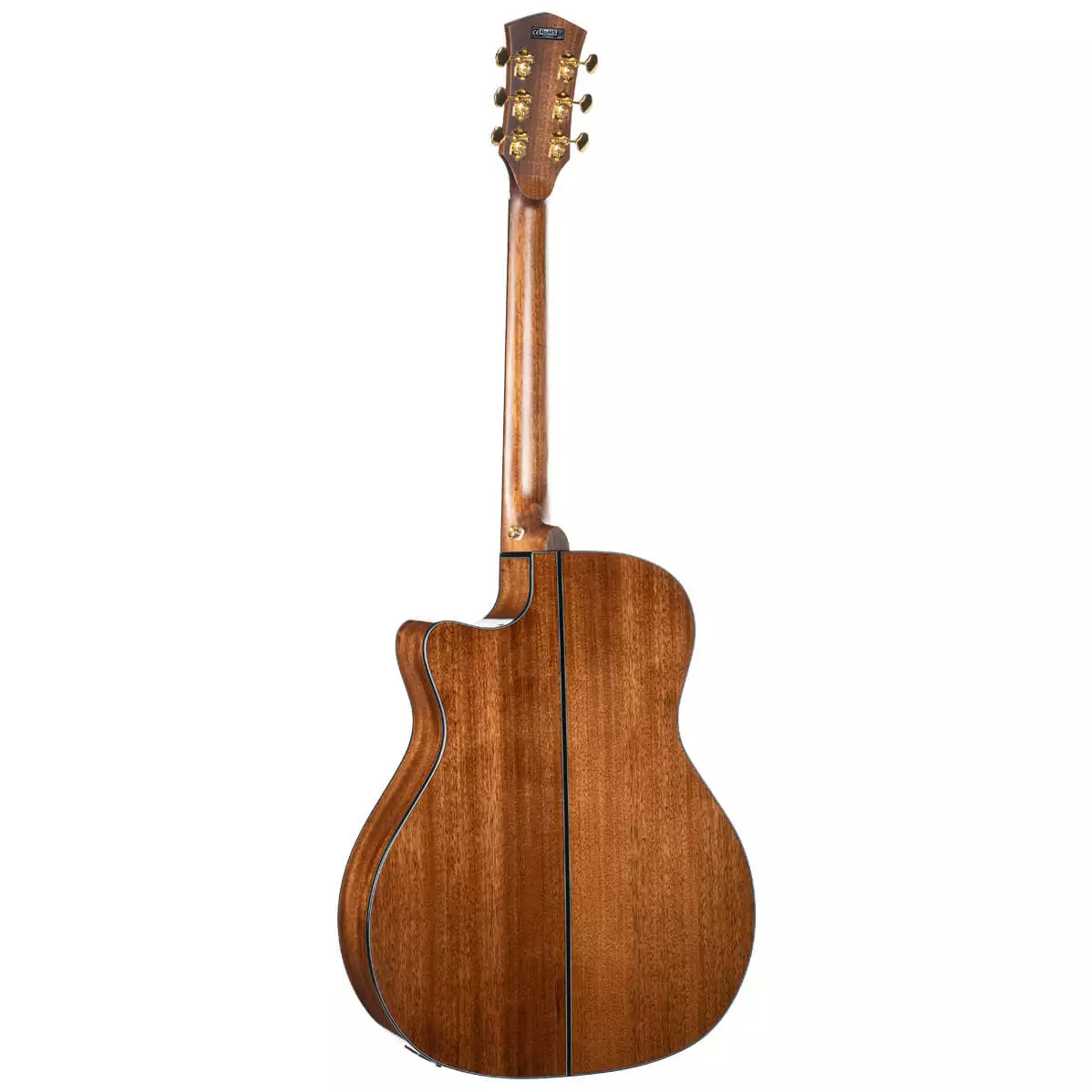 Cort Gold A6 Natural Gloss 3