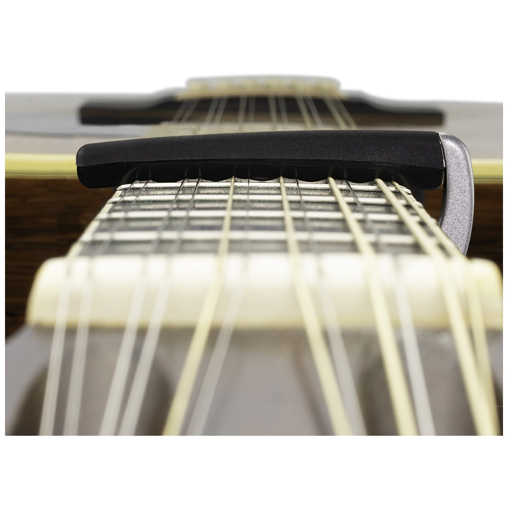 D’Addario PW-CP-19S - Pro Plus Capo Silver 1