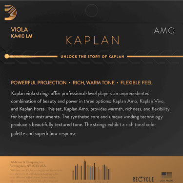D’Addario Kaplan Amo KA410 LM 1