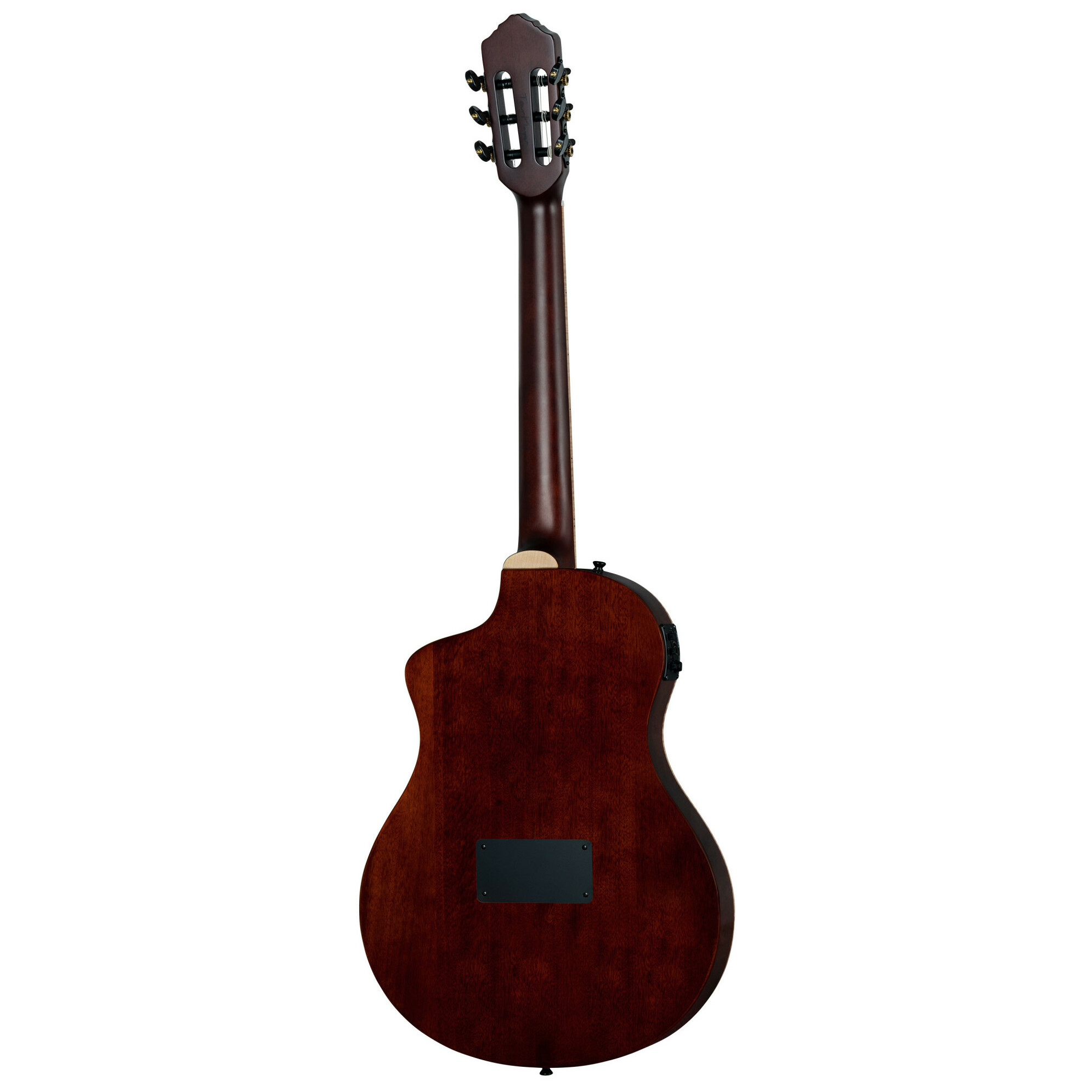 Ortega Tour Player RTPDLX-ACA 5