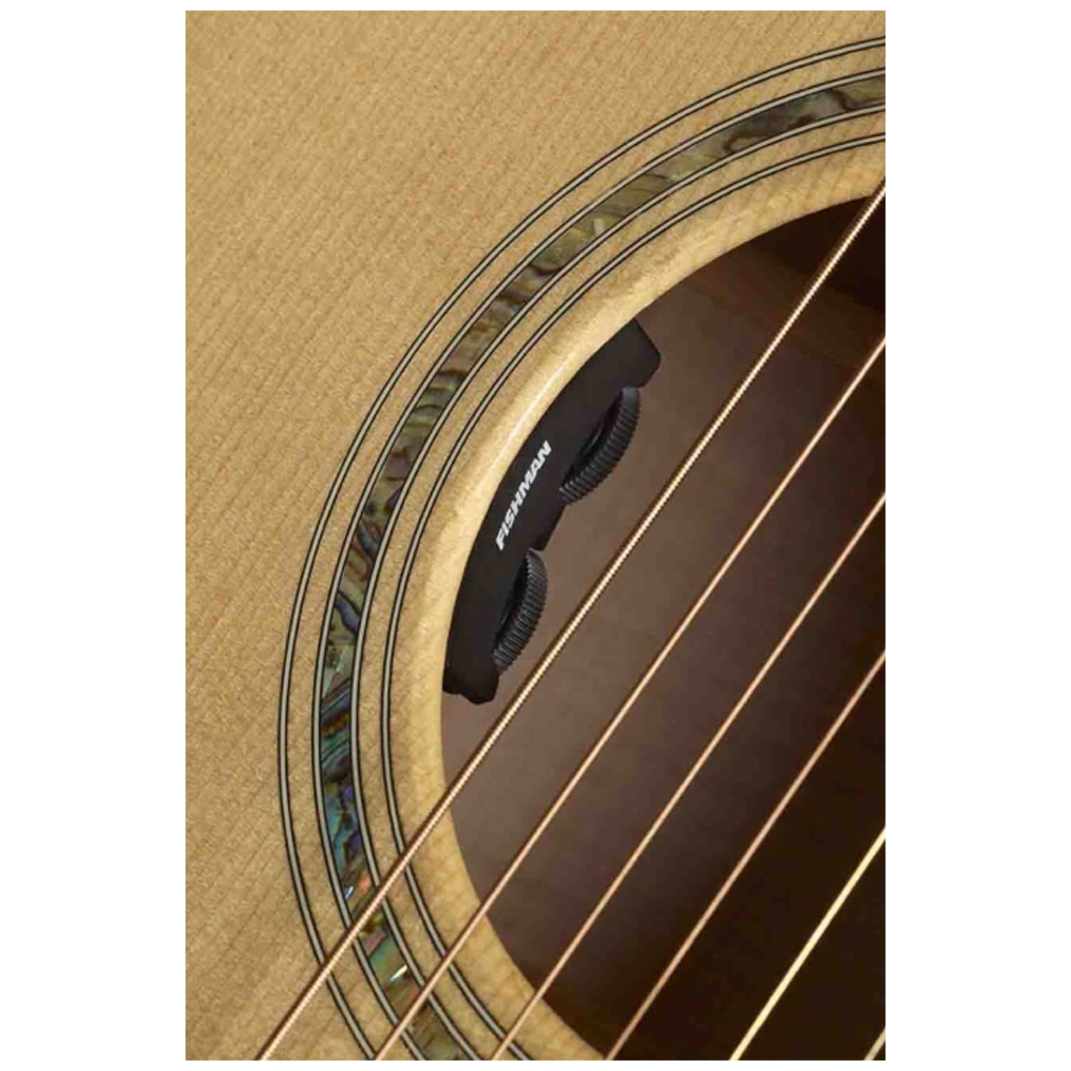 Eastman AC122-1CE 10019612-2